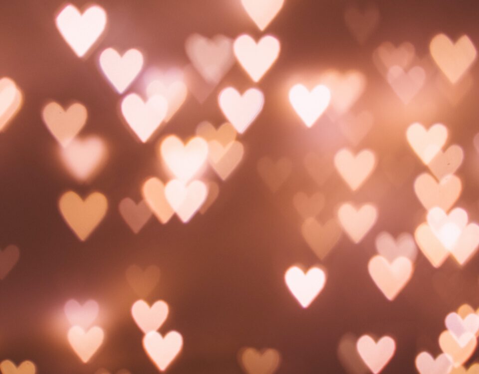 PIA KOCHT: Valentins Menü