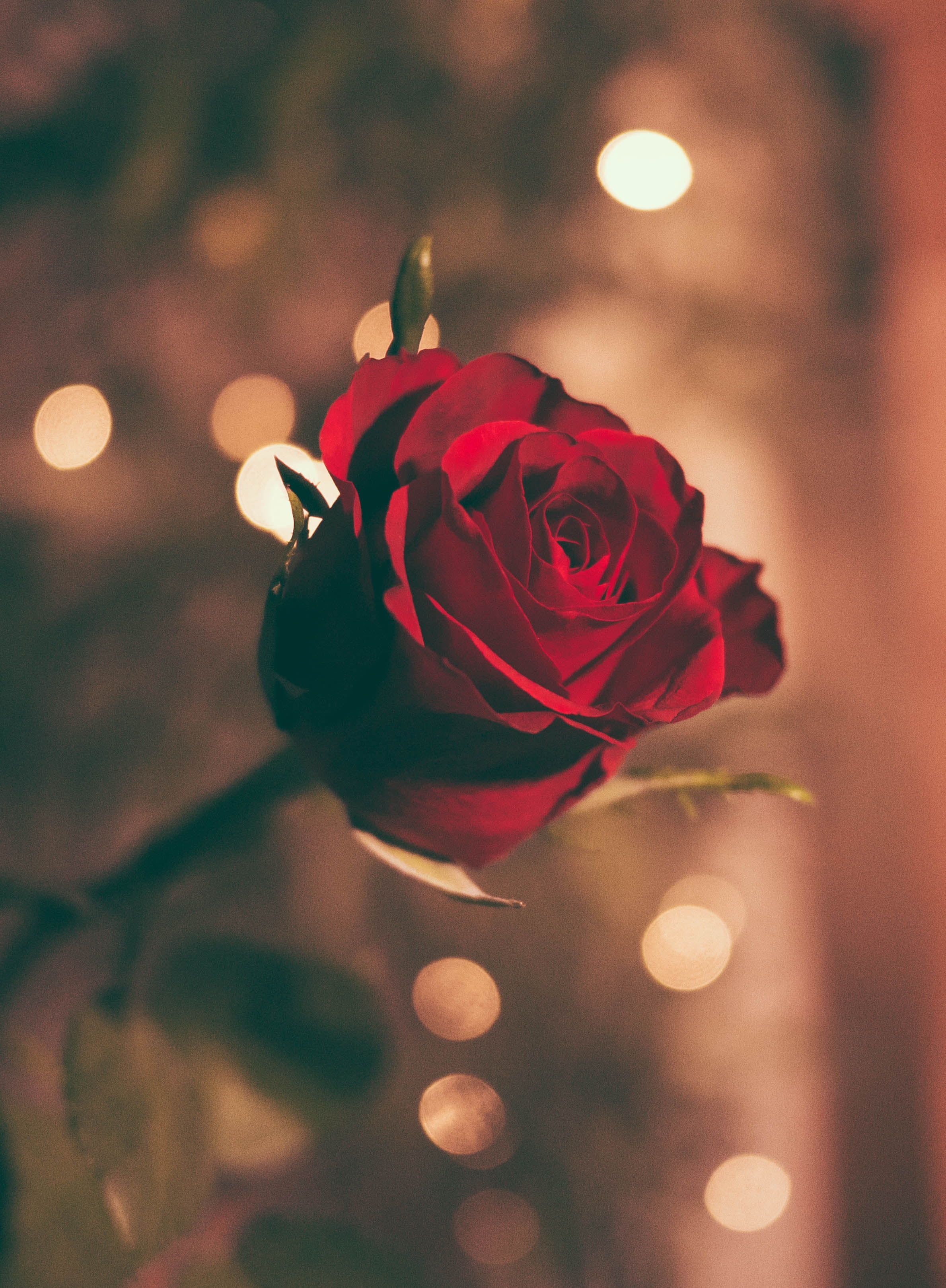 jamie-street-C6CVXJMXwqs-unsplash