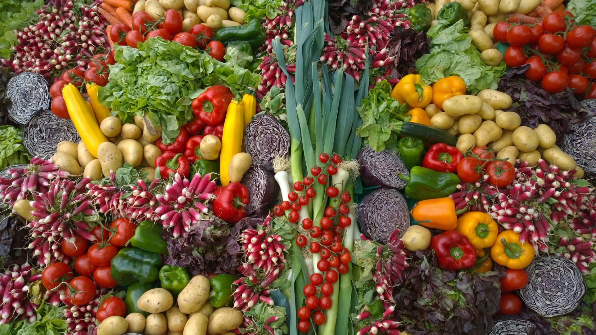 "VEGETARISCHE VIELFALLT - Gesund und lecker!" mit Pia-Engel Nixon
